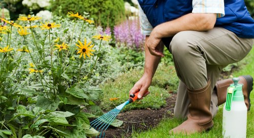 Accessibility request guidance for Victoria tree surgery users