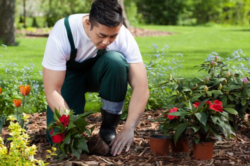 Victoria tree care specialist managing mature landscape trees