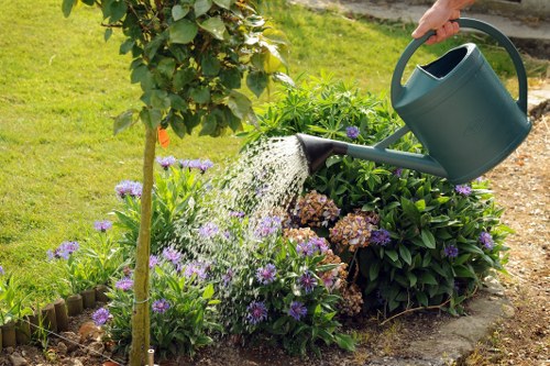 Screen-reader compatible tree services information