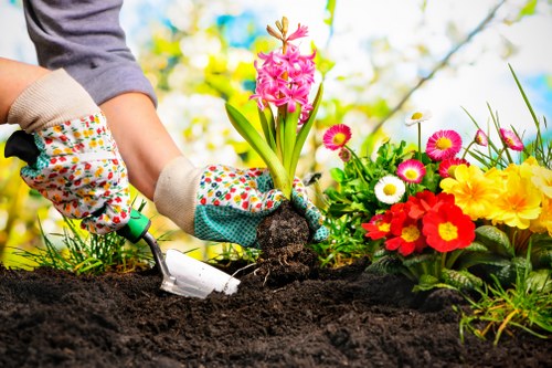 Visa and Mastercard payment security for tree surgery services