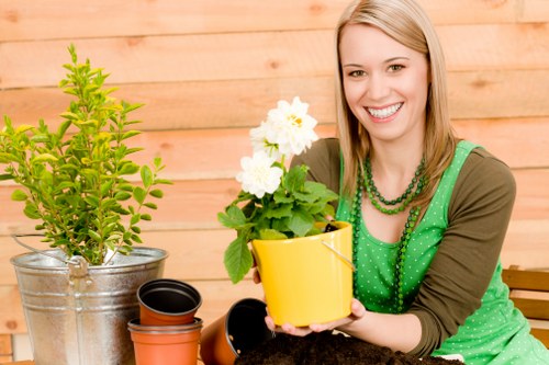 Victoria tree surgeons handling a formal complaint review