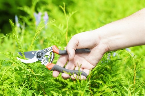 Bank transfer payment details for Tree Surgeons Victoria